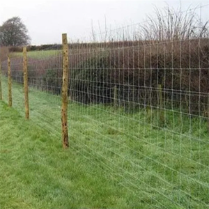 Recinzione Agricola Alta 6 Piedi con Pali in Acciaio PVC Adatti per Cani Lunghezza 50m Fornita Direttamente per Uso in Cantiere - Product Image 6