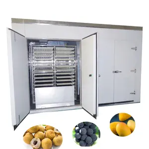 4/8/10 Trolleys Mango Cabinet Dryer Machine Heat Pump Dried Mango Thailand Fruit Drying Equipment