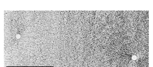 Material aislante de nevera para pared, aislamiento acústico de espuma, aislante de 5mm - Product Image 3