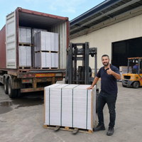 Hojas de Papel para Copiar Planas en Paquetes a Granel, 100% Pulpa de Madera Virgen, Alta Blancura, para Impresión y Copiado en Oficina