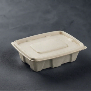 Contenedor Rectangular de Bagazo Natural de 750 ml con Tapa, Caja de Alimentos Desechable Ecológica - Product Image 1
