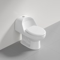 WC monobloc de luxe en céramique haute température, à poser au sol, avec abattant à fermeture silencieuse, design contemporain