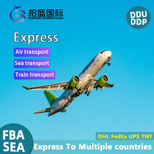 中国到印度的货运代理巴林日本菲律宾欧洲FBA DDP空运海运门到门拼箱 - Product Image 3