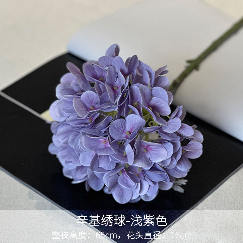 Hortensia octyl violet clair