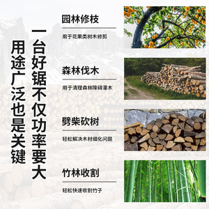 Mini tronçonneuse Jin Chengtai 16 pouces (40 cm) à batterie, outil professionnel de coupe de bois - Product Image 3