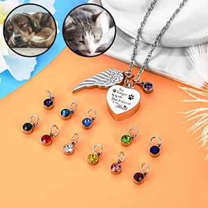 Urne funéraire <span class=keywords><strong>en</strong></span> acier inoxydable pour cendres d'animaux de compagnie avec pendentif <span class=keywords><strong>en</strong></span> forme de cœur et pierres de naissance de 12 couleurs pour cendres de chien ou de chat - Product Image 1