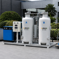 Generator Nitrogen PSA Otomatis Berkinerja Stabil untuk Sistem Pengisian Ban, Peralatan Pasokan Nitrogen Industri