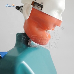 Maniquí de Cabeza para Prácticas de Enseñanza en Odontología, Equipo de Entrenamiento Dental, Simulador de Cabeza Fantasma con Simulación de Hombros y Cuerpo - Product Image 4