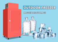 Congélateur à glaçons à refroidissement par ventilateur en acier peint, à haute efficacité énergétique, pour supermarchés, capacité 120 sacs de glace, direct usine