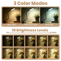 Nouveau design Outil d'évaluation de bijoux Loupe carrée Loupe lumineuse Lampe à led avec pince