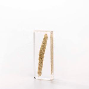 樹脂標本手作り樹脂エポキシ工芸品アクリル樹脂工芸品用植物種子埋め込み標本 - Product Image 3
