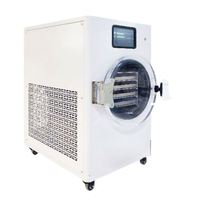 Mini Home Grote Capaciteit Commerciële Elektrische Motor Vacuüm Vriesdroger 4kg/24H Capaciteit Voedselverwerking Fruit Vlees Groenten