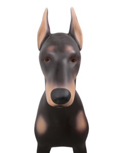 Maniquí de Doberman Pinscher Grande de 87.5cm, Modelo de Perro Desmontable de Fibra de Vidrio para Exhibición en Tiendas de Collares y Arneses para Mascotas - Product Image 3