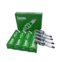 Pièces de réparation de pièces de moteur automatique de haute qualité en usine OE 03C905601A 101905626 101905115 Bougie d'allumage Lucas pour Audi