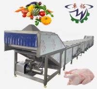 Groene Bonen Wassen Blancheren Waslijn Fruit En Groente Blancheermachine Commerciële Verwerkingsapparatuur