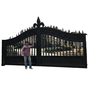 Puerta Moderna de Hierro Forjado, Fácil Instalación, Puerta Batiente Decorativa Personalizada para Entrada de Hotel o Villa, Ecológica, Duradera, con Recubrimiento en Polvo - Product Image 1