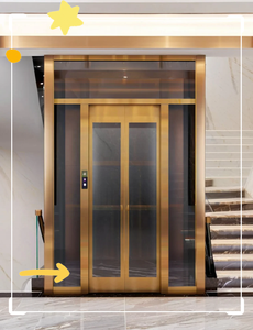 Ascenseur domestique AC à <span class=keywords><strong>prix</strong></span> réduit, production rapide, en acier peint, verre feuilleté, VVVF, pour petits bâtiments et hôtels - Product Image 5