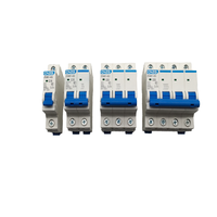 Disyuntor en miniatura 1P 2P 3P 4P 80A 100A 125A Corriente nominal 25A LI Protección Material de cobre Tipo RCBO