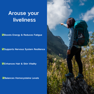 Vitamin B12 metilobalamin | Vegan & Formula penghilang stres non-gmo - Product Image 2