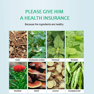 OEM/Private Label Lotus Longreinigende Kruidenthee Op Maat Geschenkverpakking met 30 Sachets voor Ademhalingsgezondheid & Bedrijfsgeschenken - Product Image 5