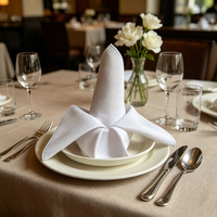 48x48cm Serviette 100% Polyester mit Gebügelten Kanten Waschbar für Partys Hochzeiten Silvester Feierlichkeiten Wiederverwendbar Hotel Restaurant Dekorativ