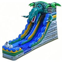   Toboggan aquatique gonflable pour dinosaures, qualité commerciale, toboggan aquatique gonflable à vendre