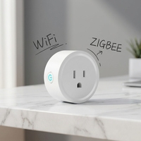 Tuya WiFi Zigbee prise de courant américaine intelligente 240V 16A moniteur d'alimentation commande vocale à distance prises ALEXA