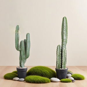 Plante de <span class=keywords><strong>cactus</strong></span> artificielle en plastique, décoration d'intérieur, <span class=keywords><strong>cactus</strong></span> pour la décoration intérieure et extérieure, décoration de bureau à domicile, plantes artificielles, plantes factices - Product Image 1