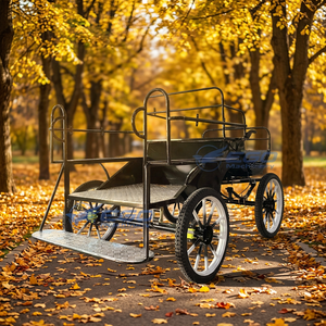 <b>Small</b> Horse Marathon Four-<b>wheel</b> Sightseeing Marathon Special Vehicles Are Selling Well Every Year - Product Image 1