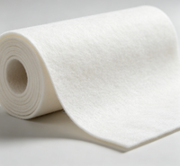 Géotextile non tissé résistant à l'usure, haute résistance à la traction, filtration pour la construction routière et la séparation