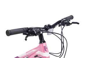 Nuevo Modelo de Bicicleta de Montaña 29 con Cuadro de Aleación de Aluminio de China / Cuadro con Suspensión MTB 29 Pulgadas <span class=keywords><strong>Trinx</strong></span> / Bicicleta al por Mayor para Hombre - Product Image 5