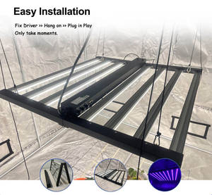 OEM ODM LM 301H 281B LM301H LM301B Full Spectrum 800W 1000W Lampes LED de culture pour plantes <span class=keywords><strong>6x6</strong></span> Hydroponique pour jardin intérieur - Product Image 4