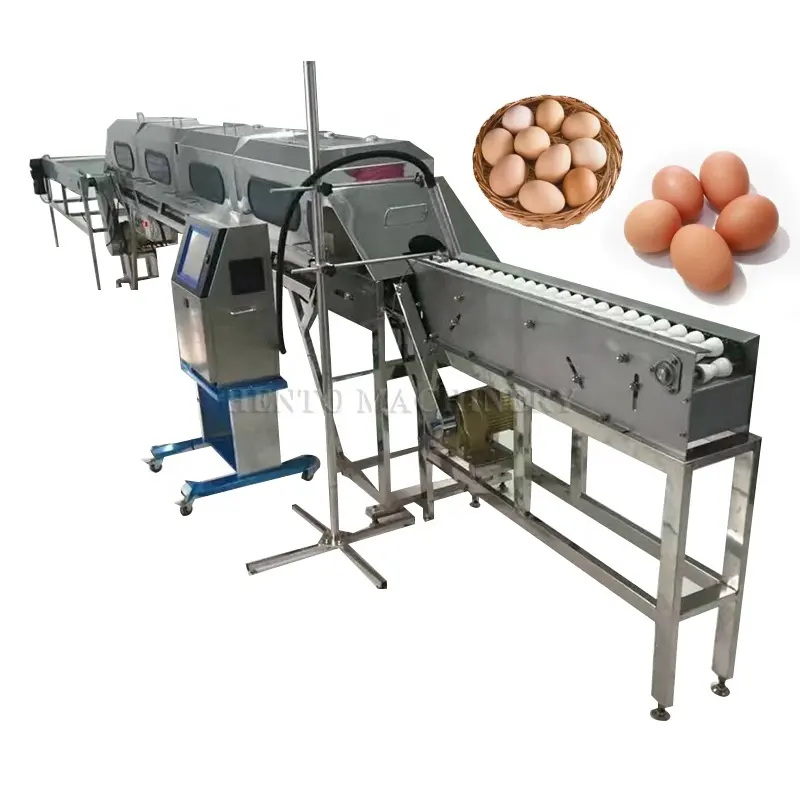 High Efficient Automatic Grading Eggs Machine / Portable Egg Grading Machine / Egg Washer Grader