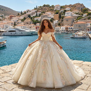 Vestidos de Quinceañera de Lujo Lsmc133 en Beige con Cuentas, Vestidos de Gala, Vestido de 15 Años con Espalda de Cordones para Fiesta de Graduación Jancember - Product Image 1