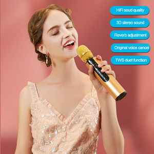 Altoparlante Professionale da Soffitto con Amplificatore Bluetooth e Microfono Wireless, Amplificatore Schermo, Microfono a Condensatore Tipo C - Product Image 2