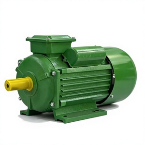 Moteur électrique monophasé à induction YC80b série 2 pôles 0,55 kW 0,75 CV 110 V 220 V 50 Hz 60 Hz 3000 tr/min 2980 tr/min - Product Image 1