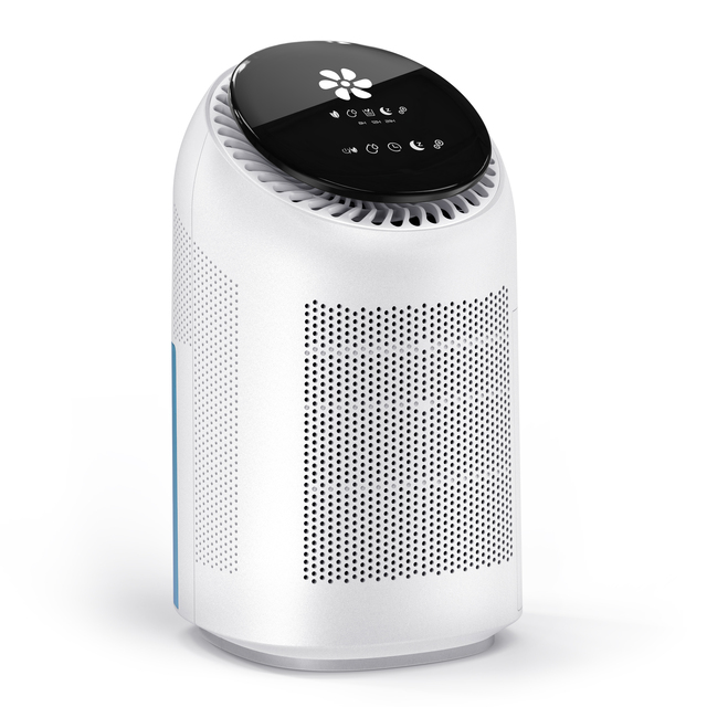 New Smart  Portable Household Dehumidifier and Air Purifier 2-1 Electric Hepa Filter Purifier for Home Hotel CADR 100