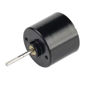 BL3630I Customizable Micro Motor High Life Torque Low DC Motor Or Industrial Appliance