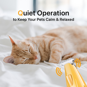 LILIPRO PT205L aggiornamento silenzioso elettrico Pet piede pelliccia Clipper Cordless 2 velocità cane zampa taglio capelli <span class=keywords><strong>Kat</strong></span> toelettatura <span class=keywords><strong>Kit</strong></span> con luce LED - Product Image 3