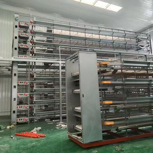 Tipo H Gallina <span class=keywords><strong>ponedora</strong></span> Alimentación automática y bebida Inmersión en caliente Galvanizado Pollo Jaula Capa Pollo Alimentador Equipo - Product Image 4