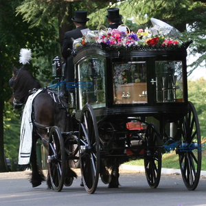 Carroza Fúnebre Negra Tirada por Caballos, Transporte Especial, Venta Directa de Fábrica - Product Image 5