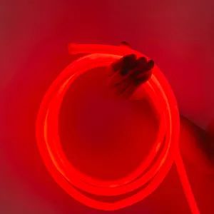 LED Neon Flex 24Volt Pixel IP68 Tube Strip Light con Dynamic RGB striscia al Neon rotonda in Silicone da 360 gradi