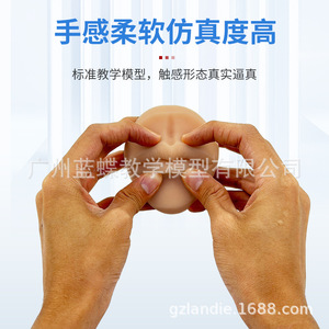 Molde de silicona para practicar características faciales del cuerpo humano para principiantes, para aprender sobre orejas, nariz, ojos, cejas, lengua, labios y ombligo. - Product Image 5