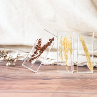 Artisanat en résine, spécimens botaniques en résine, graines de plantes en résine, artisanat en résine, spécimens scientifiques et pédagogiques, ornements en cristal, phytologie, riz séché