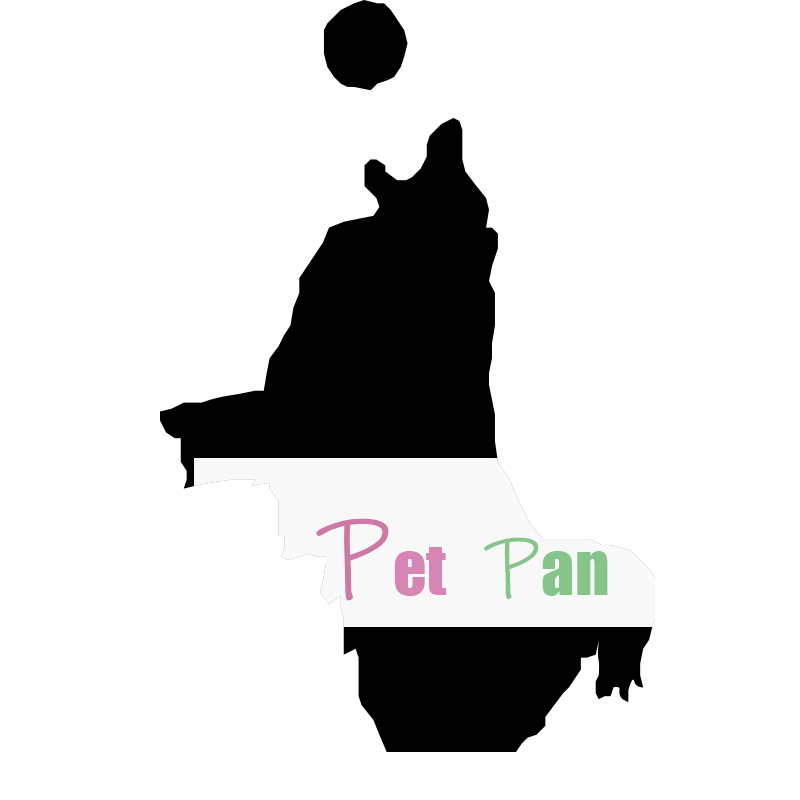 Chongqing Peterpan Technology Co., Ltd. logo