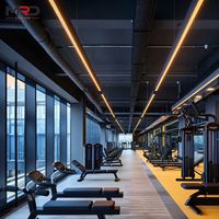 Equipo de Gimnasio de Alta Calidad, Incluyendo Máquinas con Pesas Fijas y Selectorizadas para Entrenamiento Cardiovascular y de Fuerza.