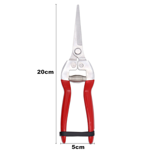 Ciseaux de jardinage manuels multifonctionnels DaringFish en acier inoxydable avec poignée en plastique pour la taille des raisins, fabrication OEM industrielle - Product Image 3