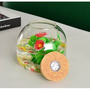Vase en verre borosilicate transparent <span class=keywords><strong>de</strong></span> 1600 ml, terrarium hydroponique avec lumière LED colorée, <span class=keywords><strong>bouchon</strong></span> en liège pour plantes - Product Image 4