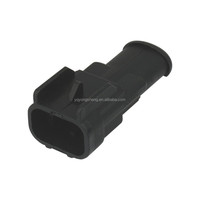 Connecteur automatique mâle 2 voies de haute qualité noir DJY7026-3-11 Yongsheng 47000EV2M avec faisceau de câbles