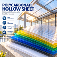 Panneau de toiture en polycarbonate alvéolaire moderne, couleur personnalisable, disponible pour les puits de lumière, les serres et les cloisons.
